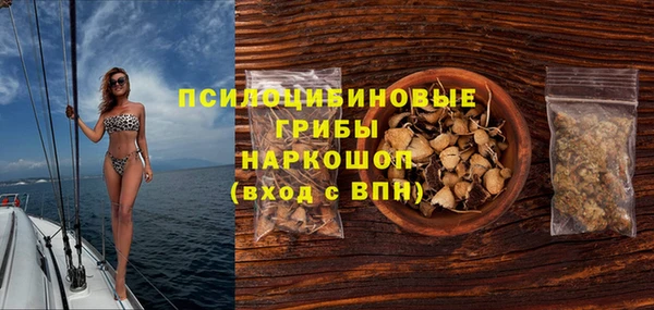 твердый Алексин
