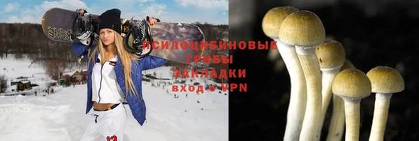твердый Алексин