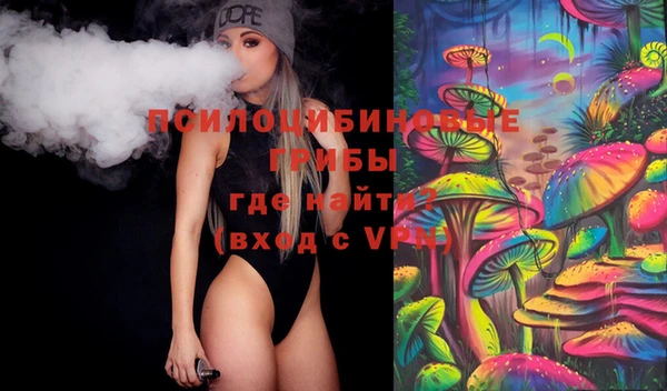 твердый Алексин